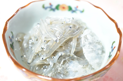 静岡しらす駿河湾しらす干し・桜えびの本橋水産